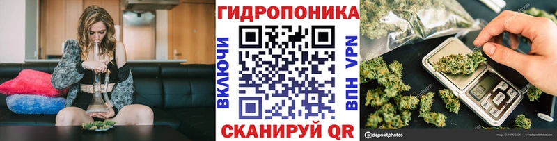 Где найти наркотики Артём ГАШ  КОКАИН  MEGA зеркало  МЕФ  СК  Псилоцибиновые грибы 