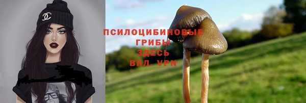 МДПВ Алзамай