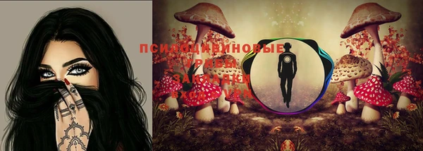 spice Алексеевка