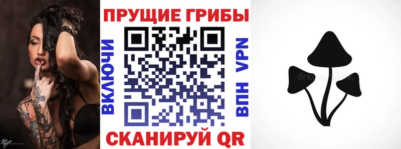 кракен онион  Артём  Галлюциногенные грибы GOLDEN TEACHER  закладка 